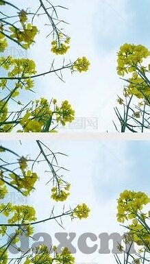 91麻豆丝袜在线观看-91麻豆丝袜，网络文化中的一抹独特风情